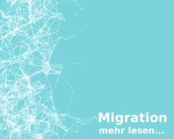 Gegenstandsbereich DE Migration ©BOIM